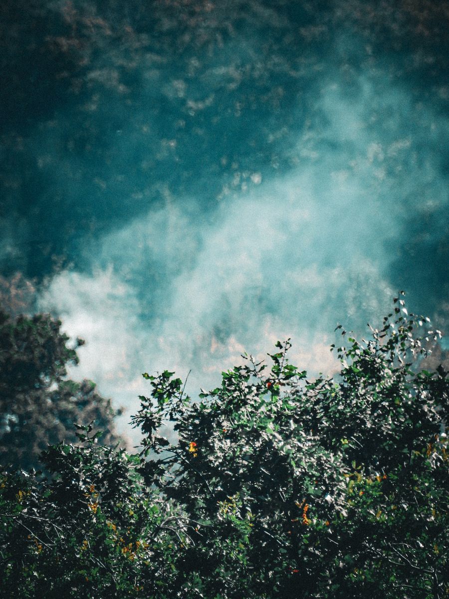 vape juice