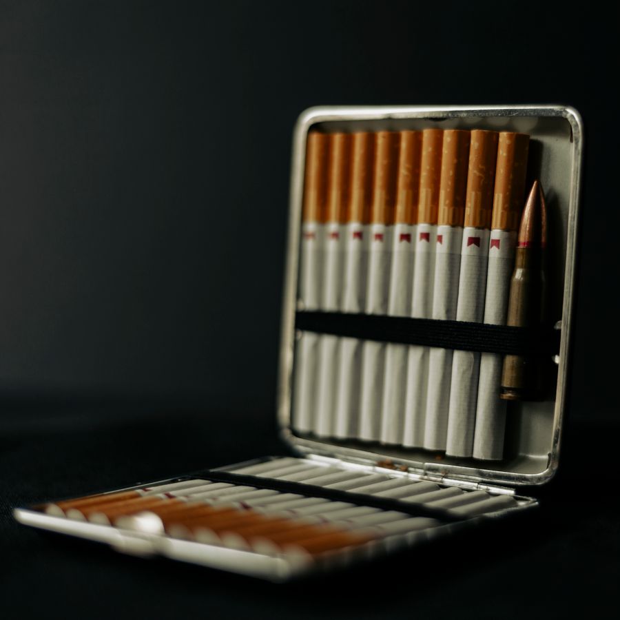 vape travel case
