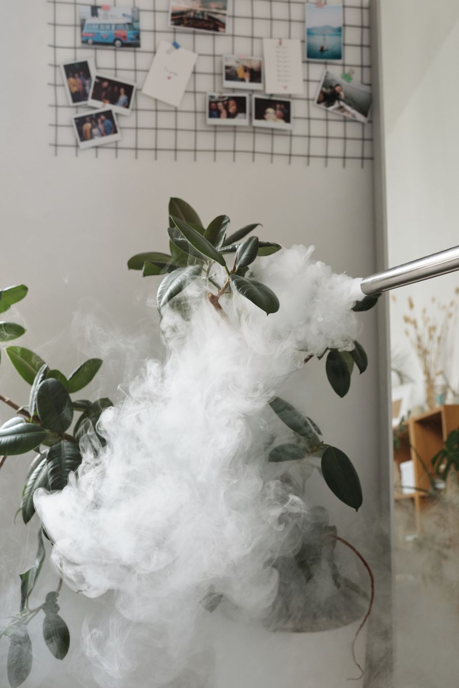 freebase e-liquid